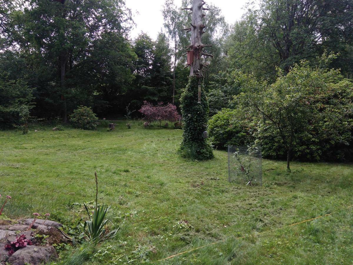 Pusterummet,